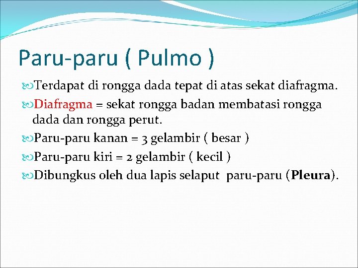 Paru-paru ( Pulmo ) Terdapat di rongga dada tepat di atas sekat diafragma. Diafragma