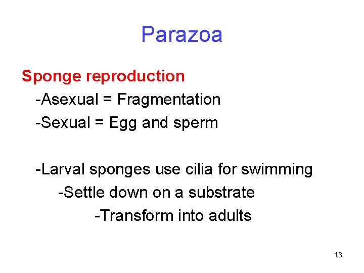 Parazoa Sponge reproduction -Asexual = Fragmentation -Sexual = Egg and sperm -Larval sponges use