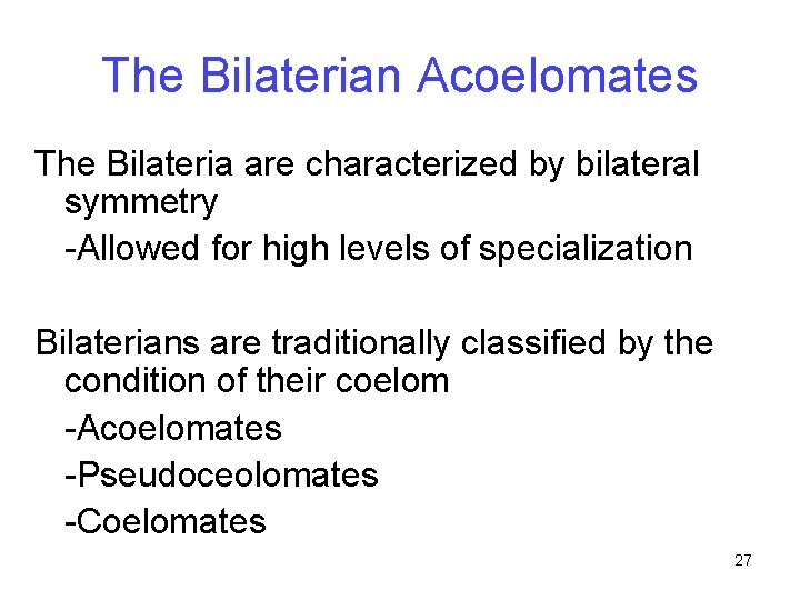 The Bilaterian Acoelomates The Bilateria are characterized by bilateral symmetry -Allowed for high levels