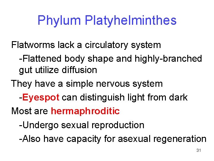 Phylum Platyhelminthes Flatworms lack a circulatory system -Flattened body shape and highly-branched gut utilize