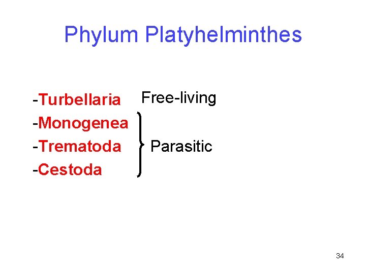 Phylum Platyhelminthes -Turbellaria Free-living -Monogenea Parasitic -Trematoda -Cestoda 34 