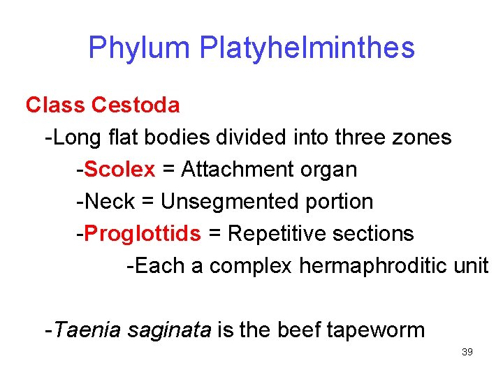 Phylum Platyhelminthes Class Cestoda -Long flat bodies divided into three zones -Scolex = Attachment