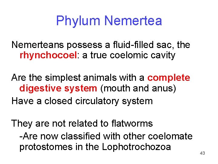 Phylum Nemerteans possess a fluid-filled sac, the rhynchocoel: a true coelomic cavity Are the