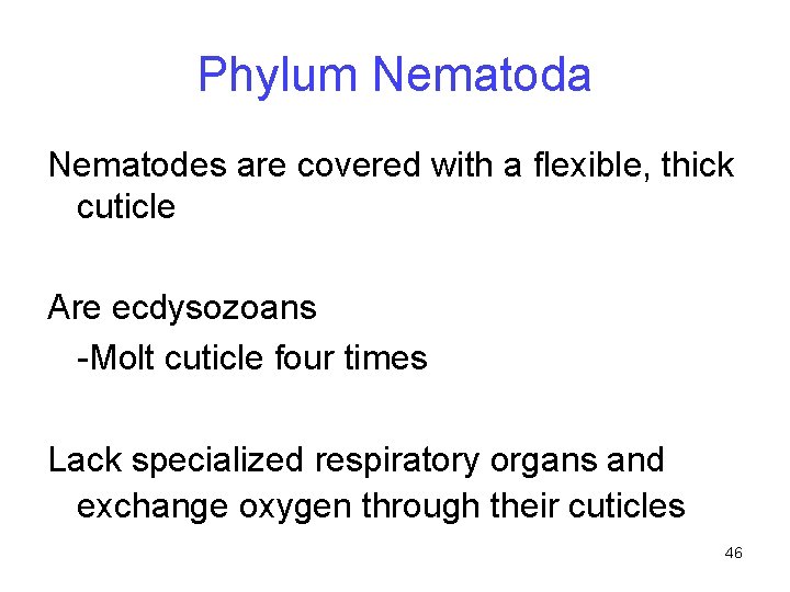 Phylum Nematoda Nematodes are covered with a flexible, thick cuticle Are ecdysozoans -Molt cuticle