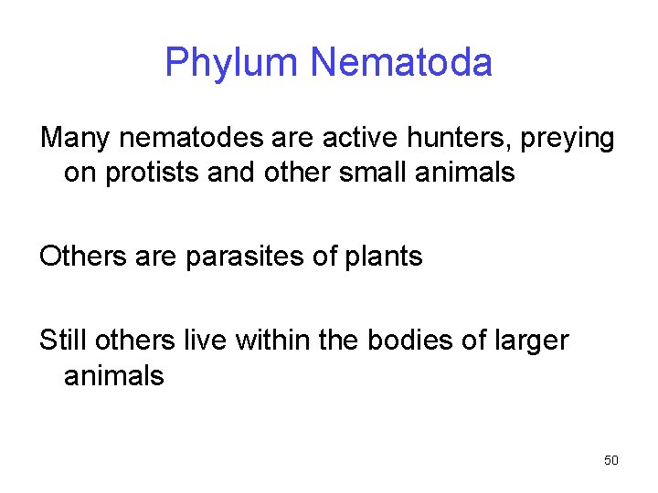 Phylum Nematoda Many nematodes are active hunters, preying on protists and other small animals