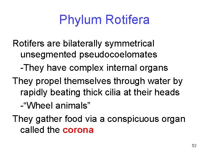 Phylum Rotifera Rotifers are bilaterally symmetrical unsegmented pseudocoelomates -They have complex internal organs They