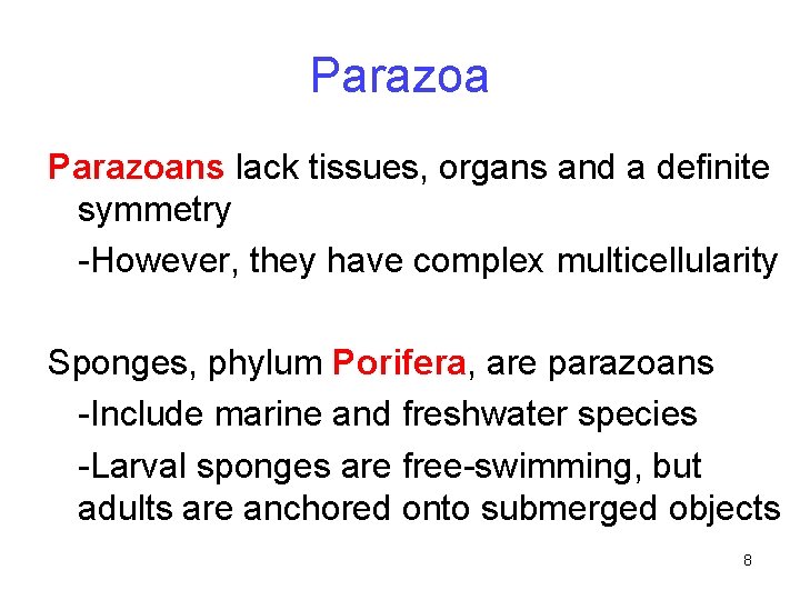 Parazoans lack tissues, organs and a definite symmetry -However, they have complex multicellularity Sponges,