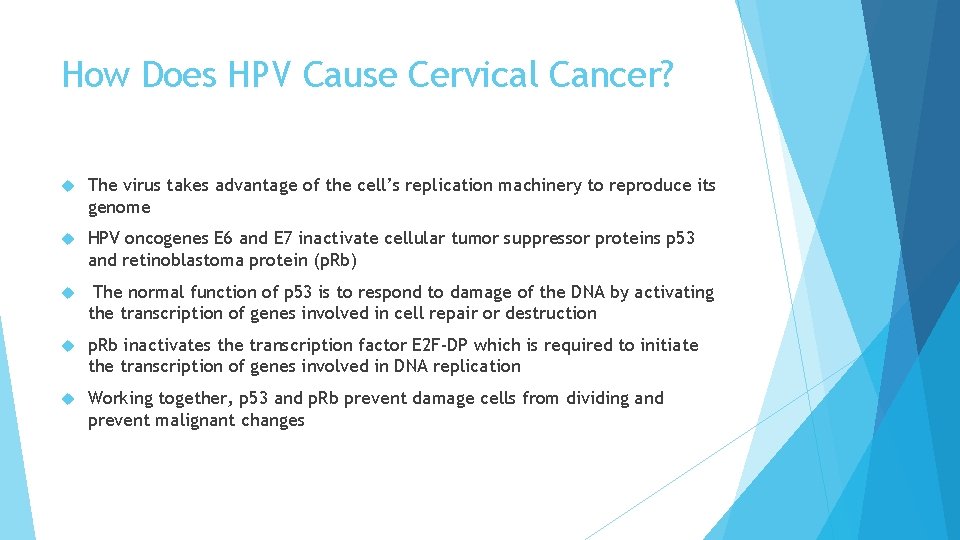 How Does HPV Cause Cervical Cancer? The virus takes advantage of the cell’s replication