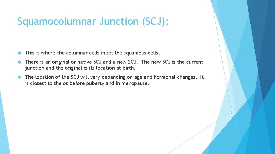 Squamocolumnar Junction (SCJ): This is where the columnar cells meet the squamous cells. There