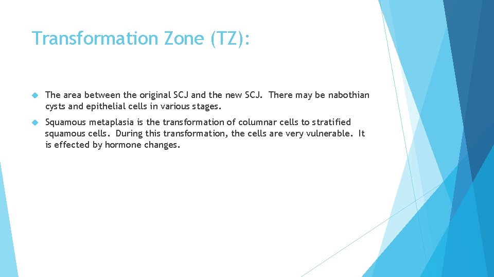 Transformation Zone (TZ): The area between the original SCJ and the new SCJ. There