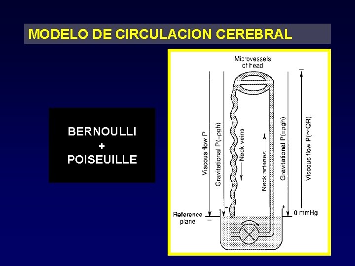 MODELO DE CIRCULACION CEREBRAL BERNOULLI + POISEUILLE 
