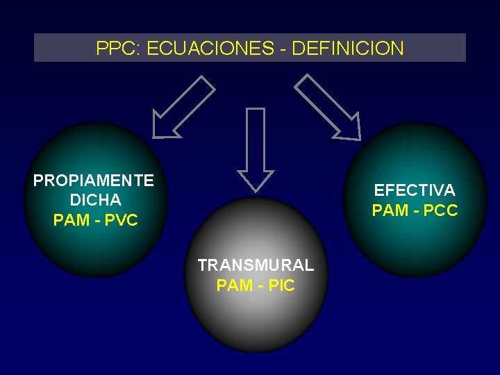 PPC: ECUACIONES - DEFINICION PROPIAMENTE DICHA PAM - PVC EFECTIVA PAM - PCC TRANSMURAL
