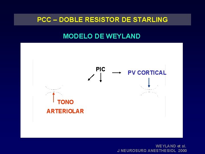 PCC – DOBLE RESISTOR DE STARLING MODELO DE WEYLAND PIC PV CORTICAL TONO ARTERIOLAR
