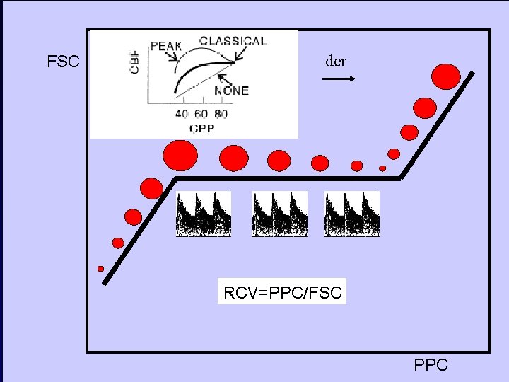 FSC izq der RCV=PPC/FSC PPC 