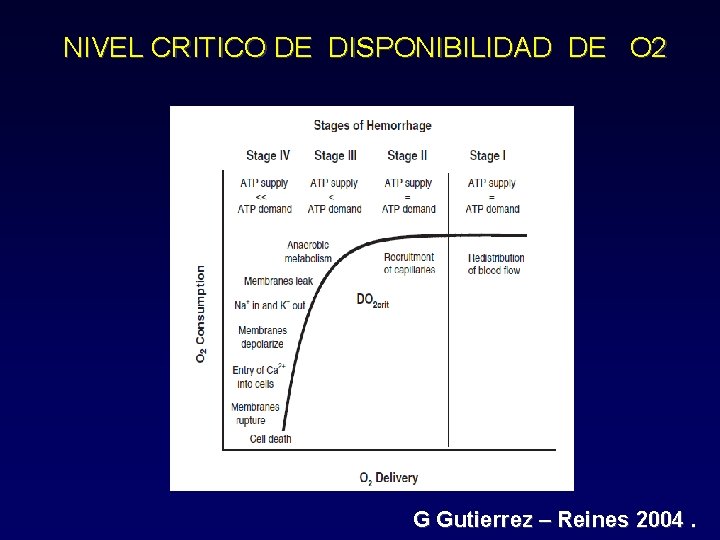 NIVEL CRITICO DE DISPONIBILIDAD DE O 2 G Gutierrez – Reines 2004. 