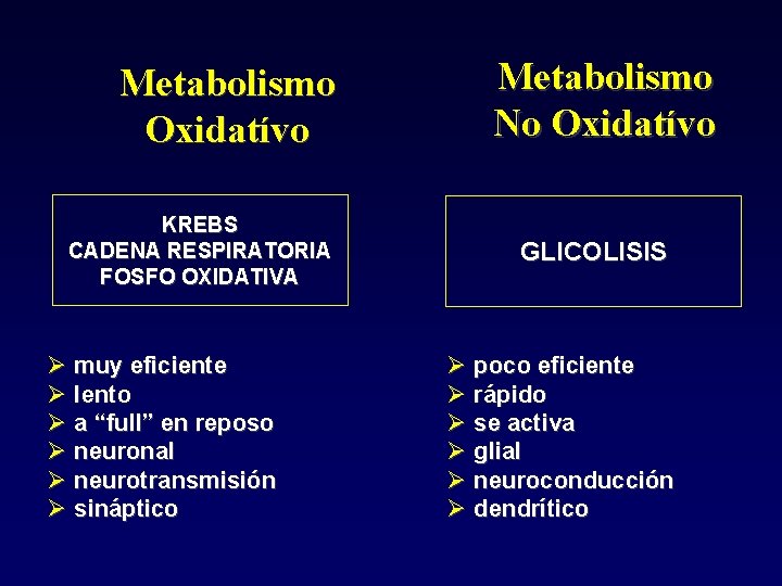 Metabolismo Oxidatívo KREBS CADENA RESPIRATORIA FOSFO OXIDATIVA muy eficiente lento a “full” en reposo