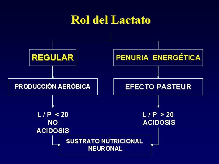 Rol del Lactato REGULAR PENURIA ENERGÉTICA PRODUCCIÓN AERÓBICA EFECTO PASTEUR L / P <