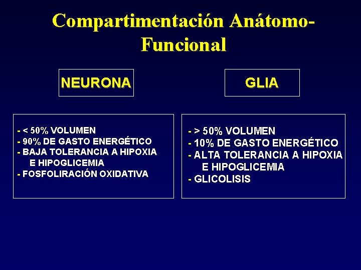 Compartimentación Anátomo. Funcional NEURONA - < 50% VOLUMEN - 90% DE GASTO ENERGÉTICO -