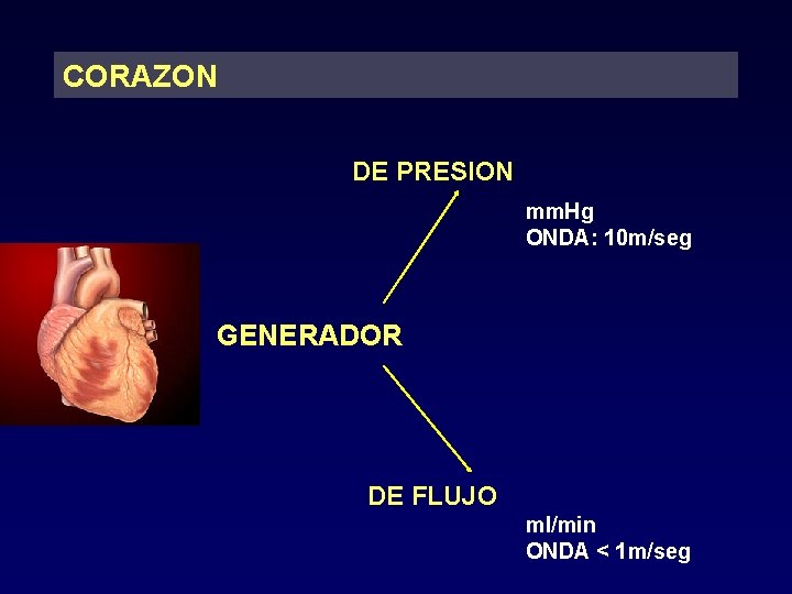 CORAZON DE PRESION mm. Hg ONDA: 10 m/seg GENERADOR DE FLUJO ml/min ONDA <