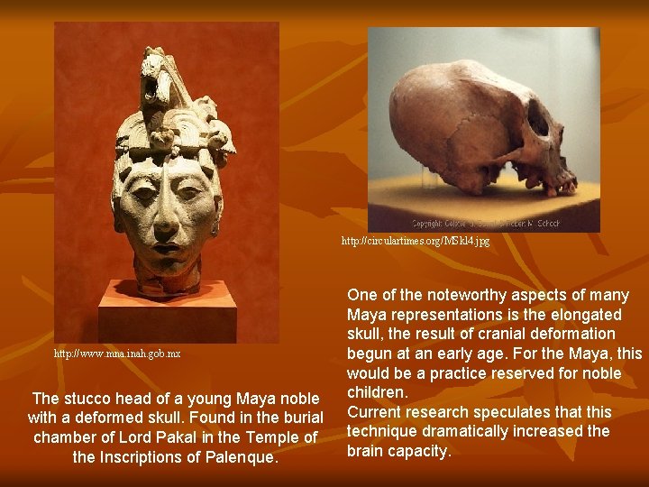 http: //circulartimes. org/MSkl 4. jpg http: //www. mna. inah. gob. mx The stucco head