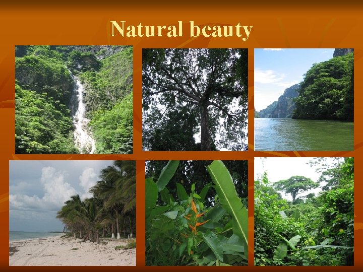 Natural beauty 