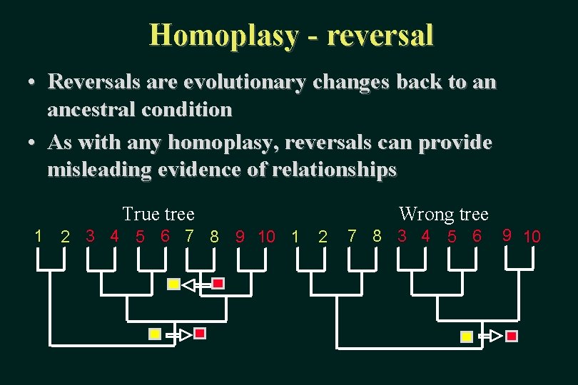 Homoplasy - reversal • Reversals are evolutionary changes back to an ancestral condition •