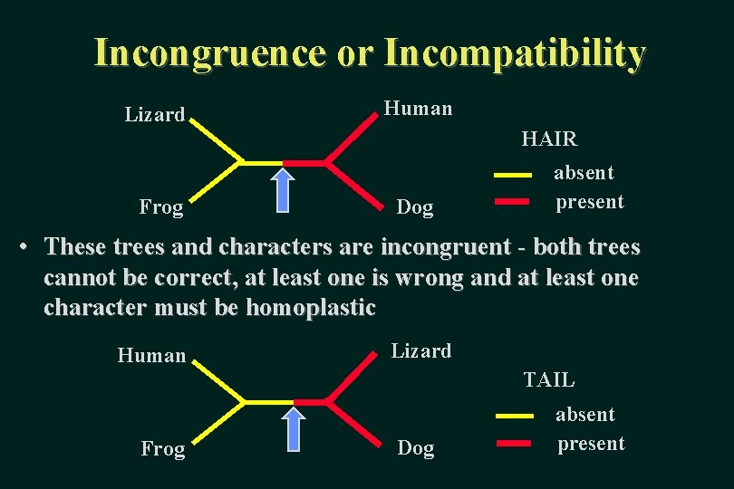 Incongruence or Incompatibility Lizard Human HAIR Frog Dog absent present • These trees and