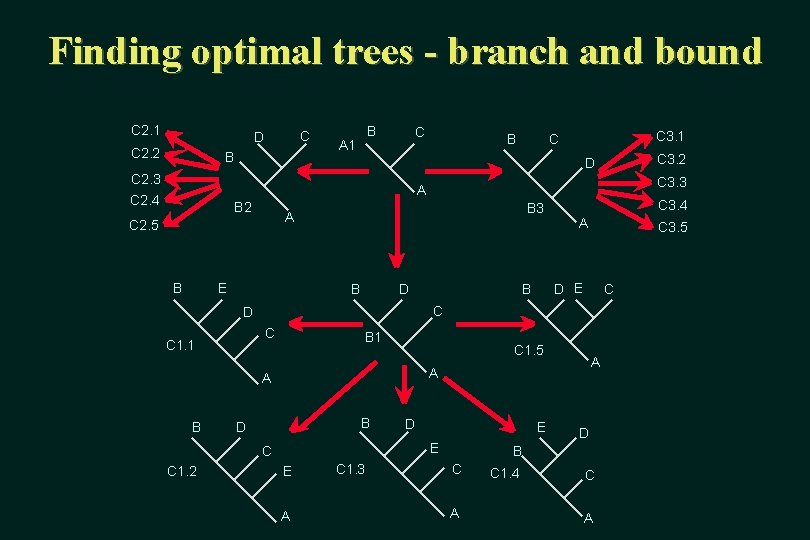 Finding optimal trees - branch and bound C 2. 1 C D C 2.