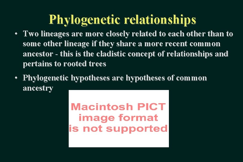 Phylogenetic relationships • Two lineages are more closely related to each other than to