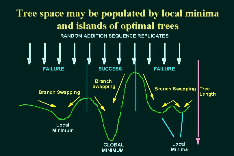 Tree space may be populated by local minima and islands of optimal trees RANDOM