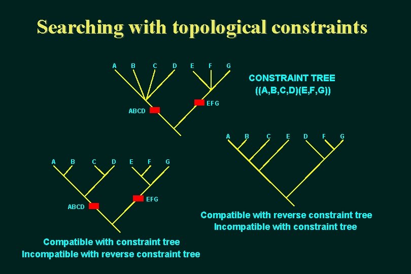 Searching with topological constraints A B C D E F G CONSTRAINT TREE ((A,