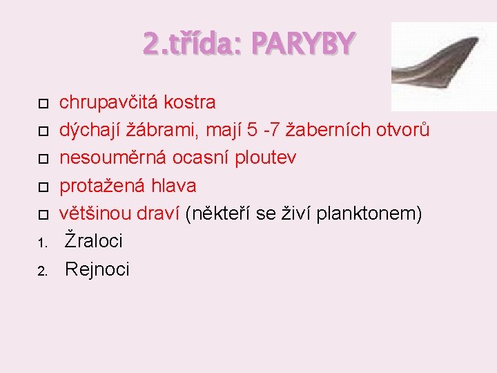 2. třída: PARYBY 1. 2. chrupavčitá kostra dýchají žábrami, mají 5 -7 žaberních otvorů