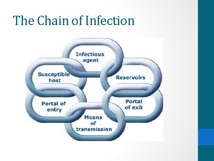The Chain of Infection 
