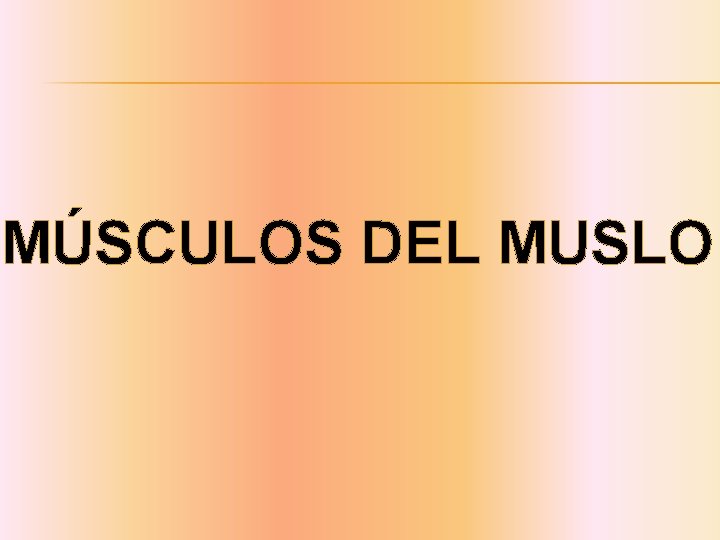 MÚSCULOS DEL MUSLO 