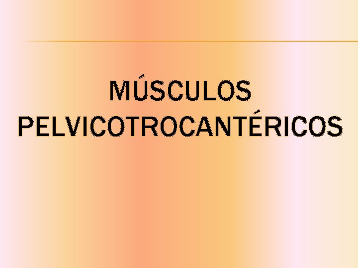 MÚSCULOS PELVICOTROCANTÉRICOS 