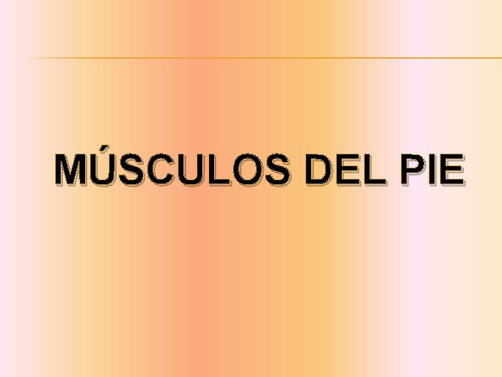 MÚSCULOS DEL PIE 