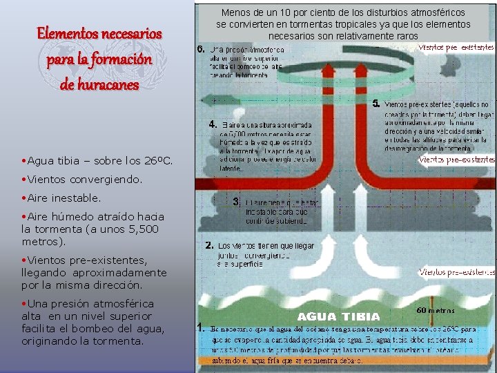 Elementos necesarios para la formación de huracanes • Agua tibia – sobre los 26ºC.