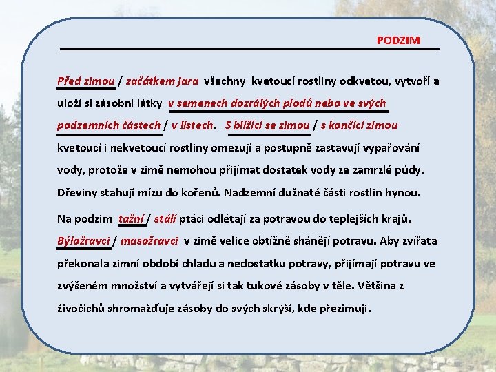 PODZIM Před zimou / začátkem jara všechny kvetoucí rostliny odkvetou, vytvoří a uloží si