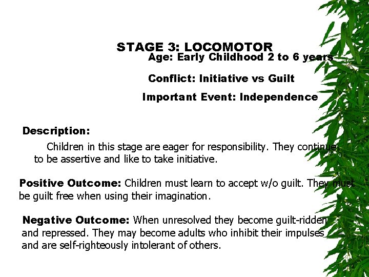 STAGE 3: LOCOMOTOR Age: Early Childhood 2 to 6 years Conflict: Initiative vs Guilt