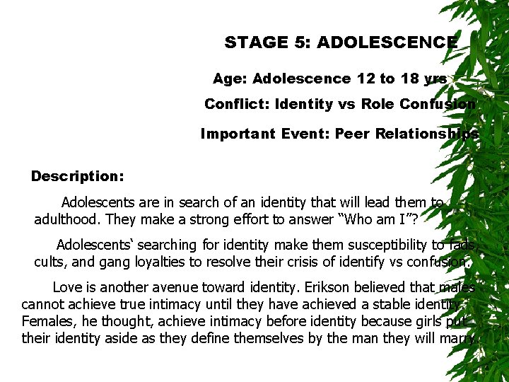 STAGE 5: ADOLESCENCE Age: Adolescence 12 to 18 yrs Conflict: Identity vs Role Confusion