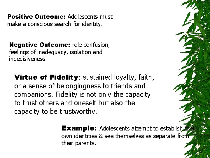 Positive Outcome: Adolescents must make a conscious search for identity. Negative Outcome: role confusion,