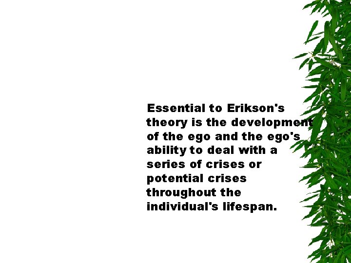 Essential to Erikson's theory is the development of the ego and the ego's ability