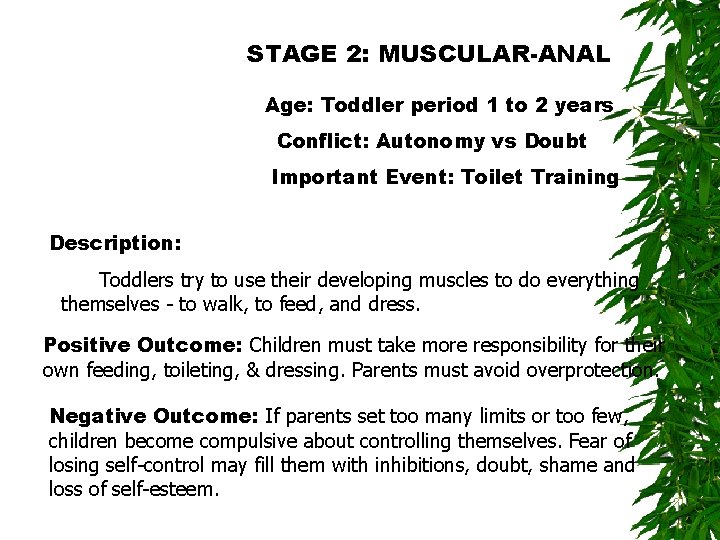 STAGE 2: MUSCULAR-ANAL Age: Toddler period 1 to 2 years Conflict: Autonomy vs Doubt