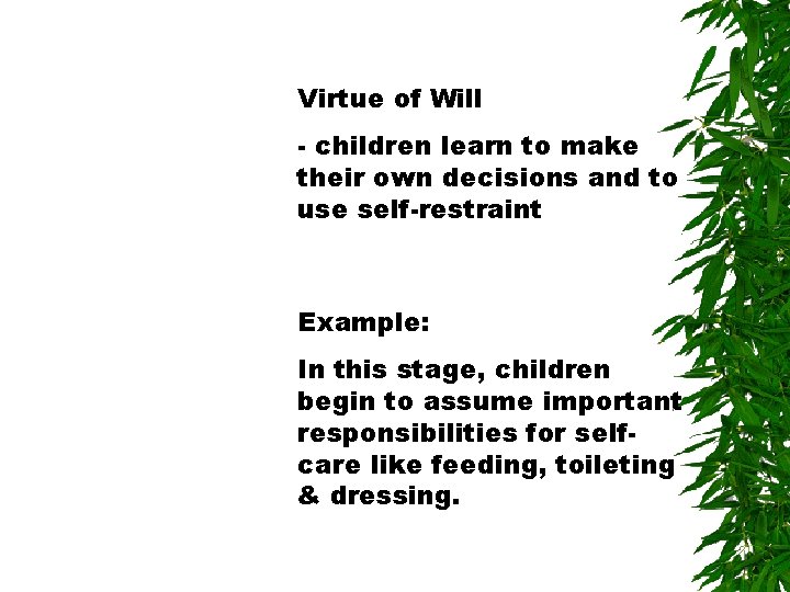 Virtue of Will - children learn to make their own decisions and to use