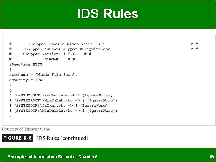IDS Rules Principles of Information Security - Chapter 6 19 