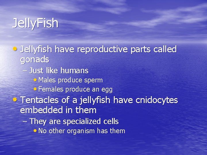 Jelly. Fish • Jellyfish have reproductive parts called gonads – Just like humans •