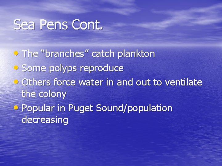 Sea Pens Cont. • The “branches” catch plankton • Some polyps reproduce • Others