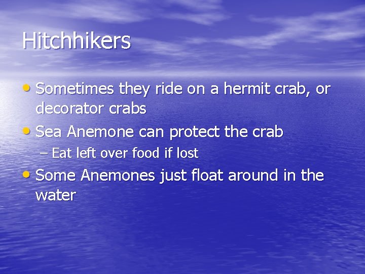 Hitchhikers • Sometimes they ride on a hermit crab, or decorator crabs • Sea