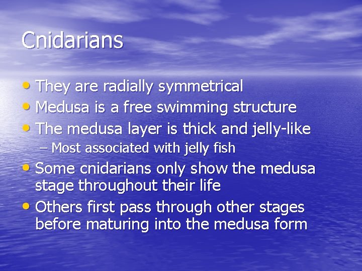 Cnidarians • They are radially symmetrical • Medusa is a free swimming structure •