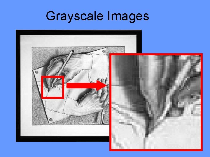 Grayscale Images 